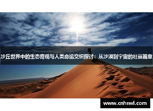 沙丘世界中的生态奇观与人类命运交织探讨：从沙漠到宇宙的壮丽篇章