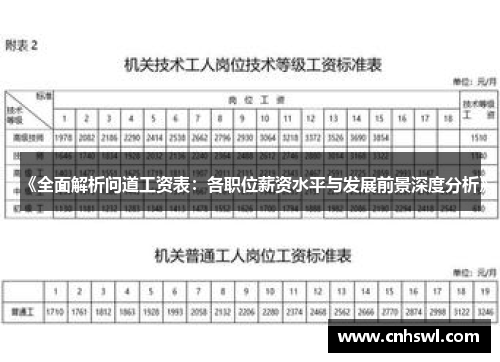 《全面解析问道工资表：各职位薪资水平与发展前景深度分析》